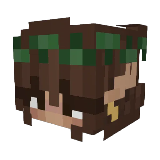 Mossybug332 Minecraft avatar head, 3D render
