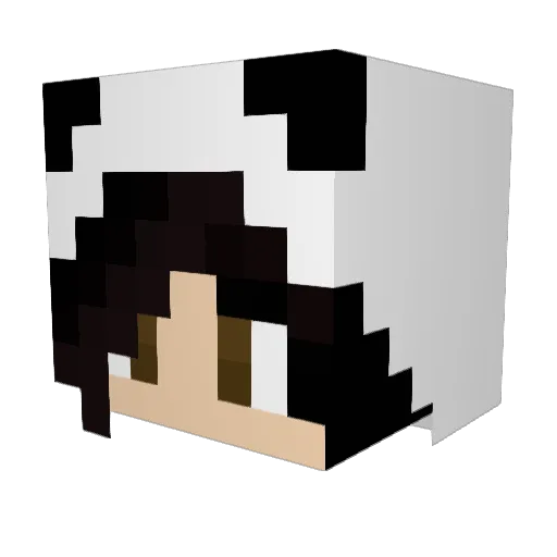 Mostaza05 Minecraft avatar head, 3D render