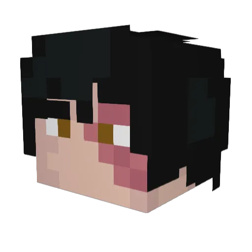 MostlyJooby Minecraft avatar head, 3D render