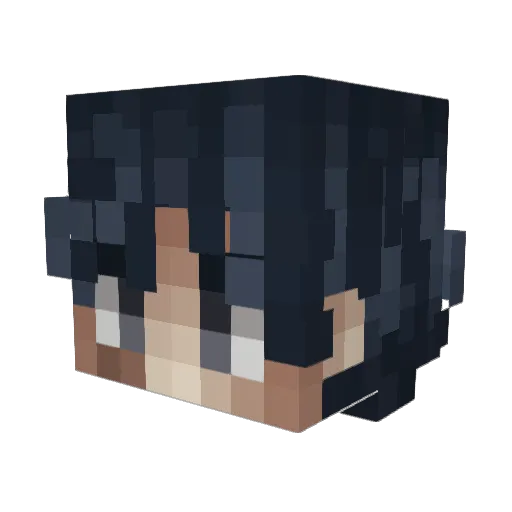MostlyReagan_TTV Minecraft avatar head, 3D render