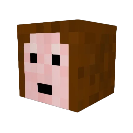 Mosu23 Minecraft avatar head, 3D render