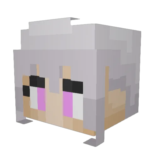 MotdSpork Minecraft avatar head, 3D render