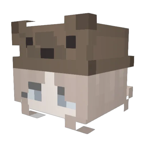 MothBay Minecraft avatar head, 3D render