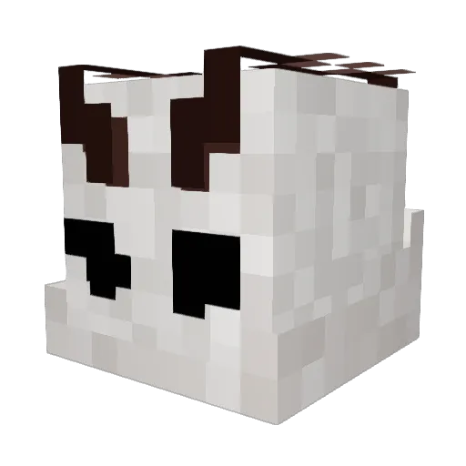 MothF1 Minecraft avatar head, 3D render