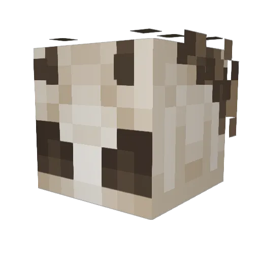 MothKin_Morgan Minecraft avatar head, 3D render