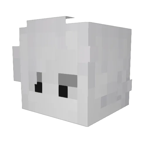 MothWorshipper Minecraft avatar head, 3D render