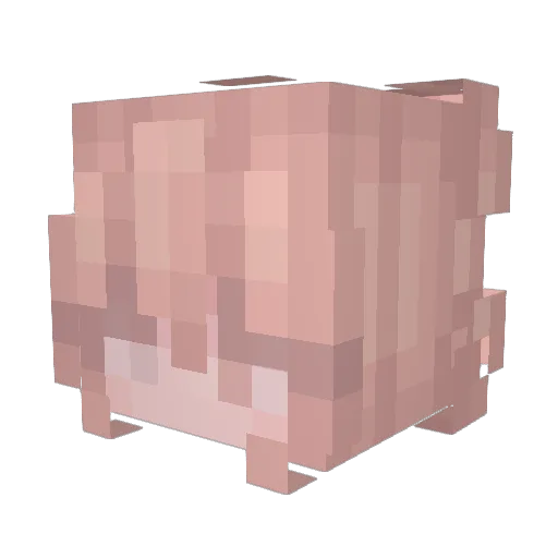 Moth_4325 Minecraft avatar head, 3D render