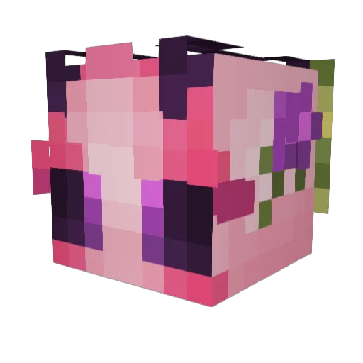 Moth_Dad Minecraft avatar head, 3D render
