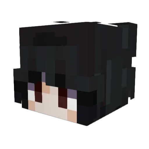Moth_Toast Minecraft avatar head, 3D render