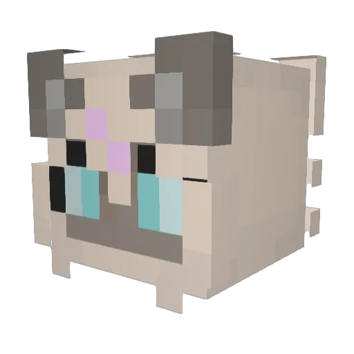 Moth____ Minecraft avatar head, 3D render