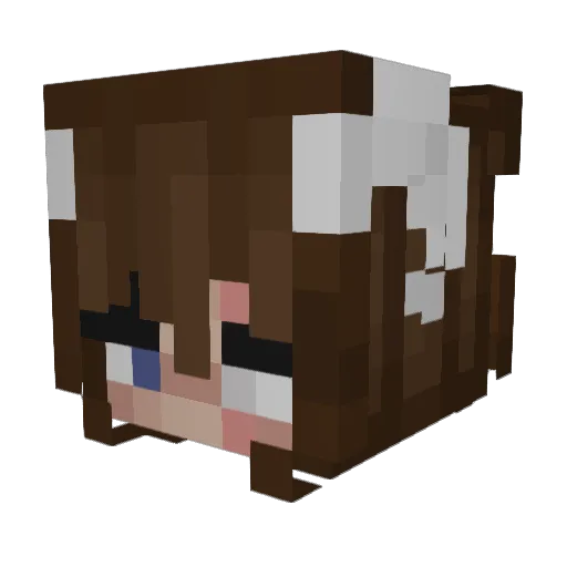 Moth_ball_ Minecraft avatar head, 3D render