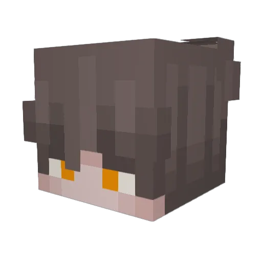Moth_my_beloved Minecraft avatar head, 3D render