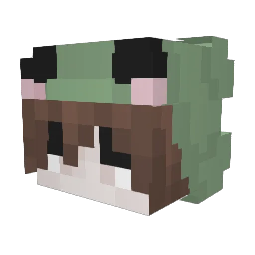 Mothb01 Minecraft avatar head, 3D render