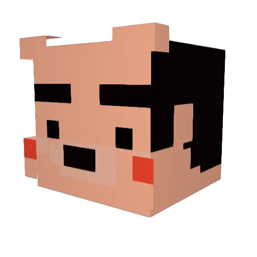 MotherGom Minecraft avatar head, 3D render