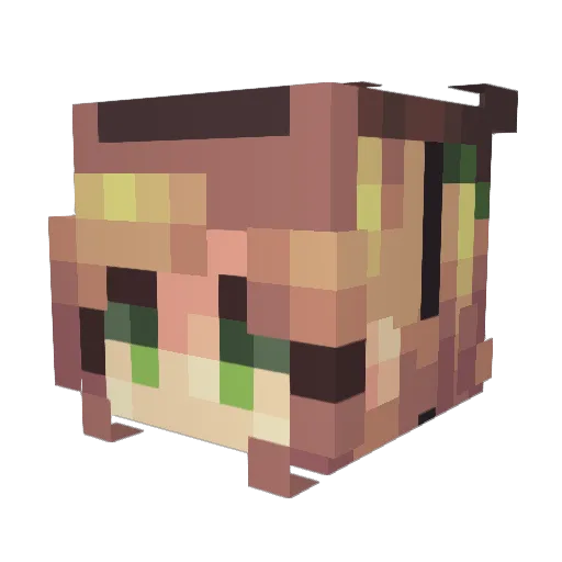 MotherOfCat Minecraft avatar head, 3D render