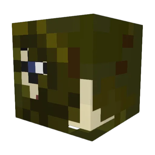Mothrepellent Minecraft avatar head, 3D render