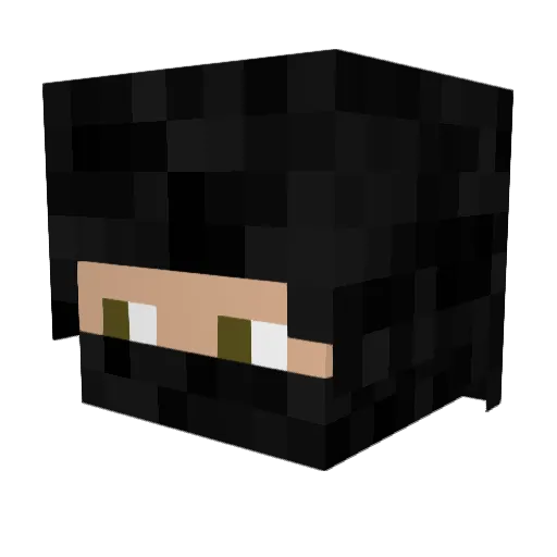 Mottm811 Minecraft avatar head, 3D render