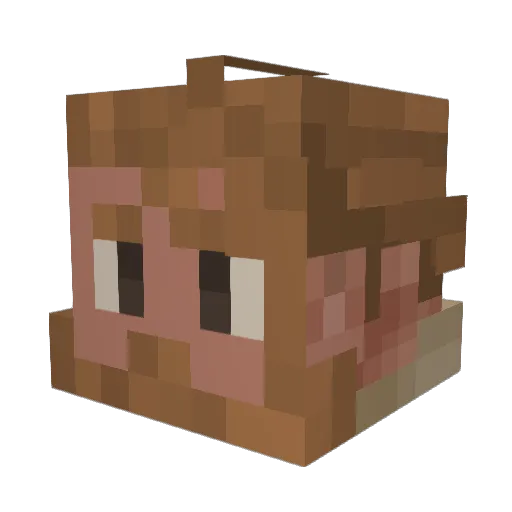 Mountaindoobie Minecraft avatar head, 3D render
