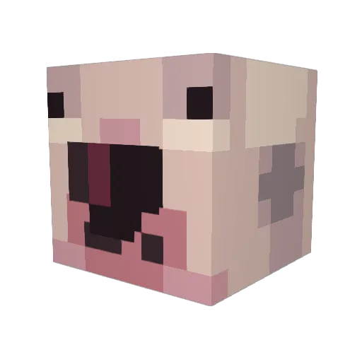 MountnDrew Minecraft avatar head, 3D render