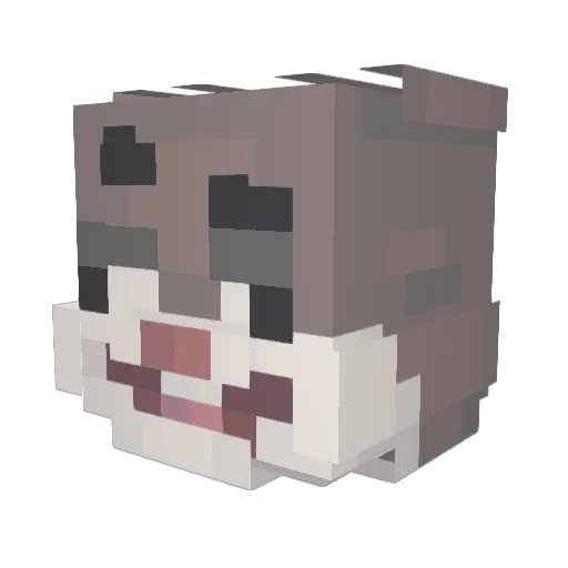 Moure777 Minecraft avatar head, 3D render