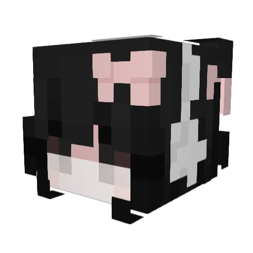MourningMoths Minecraft avatar head, 3D render