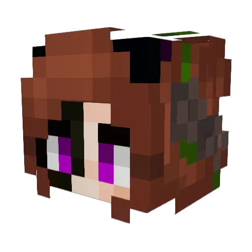 Mouse55 Minecraft avatar head, 3D render