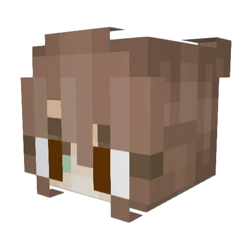 MouseSpider11 Minecraft avatar head, 3D render