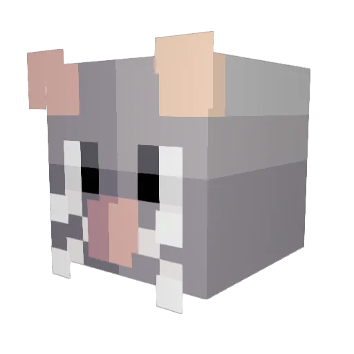 Mousemaster12 Minecraft avatar head, 3D render