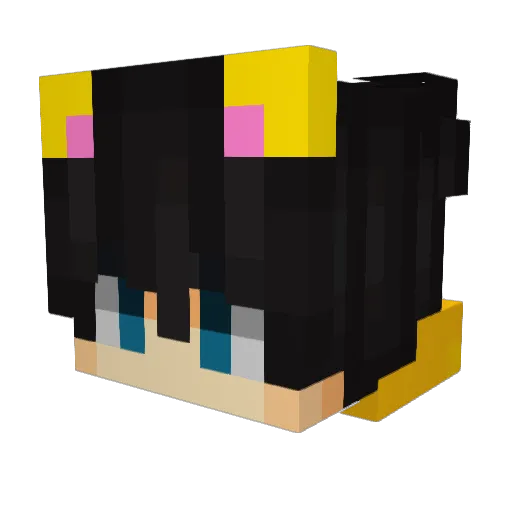 MoutonMalade Minecraft avatar head, 3D render
