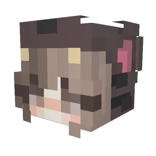 Mouws Minecraft avatar head, 3D render