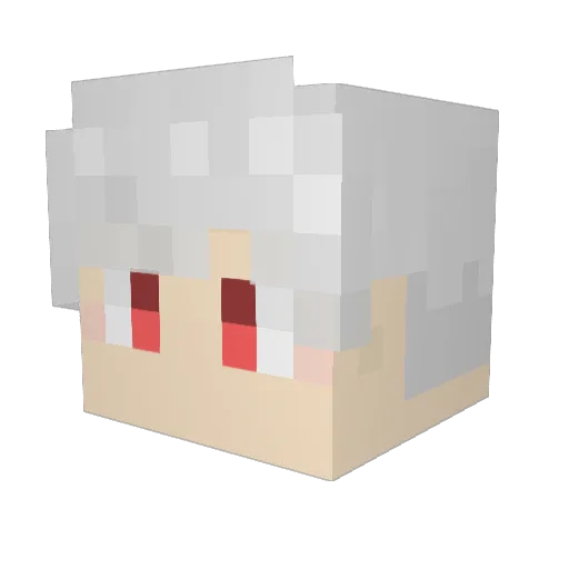 Move_On_Now Minecraft avatar head, 3D render