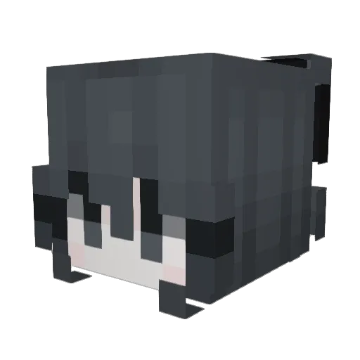 Mow Minecraft avatar head, 3D render