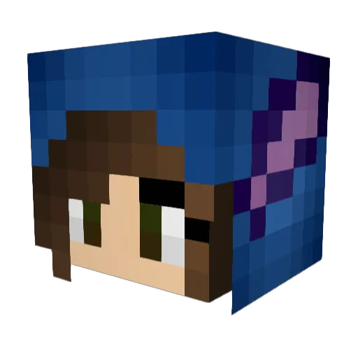 MoyCooper Minecraft avatar head, 3D render
