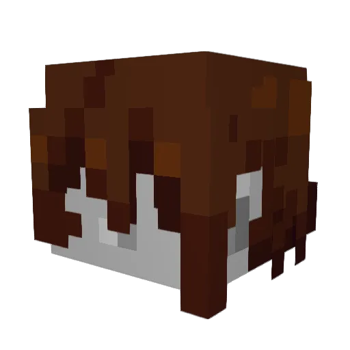 Moyai9001 Minecraft avatar head, 3D render