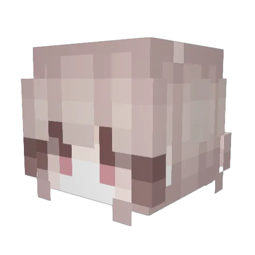 Mozi1314 Minecraft avatar head, 3D render