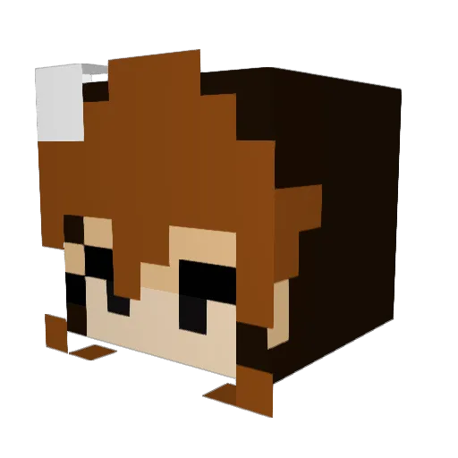 Mp4Doom Minecraft avatar head, 3D render