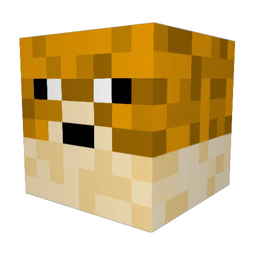 Mpallokala Minecraft avatar head, 3D render