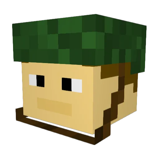 Mpil76 Minecraft avatar head, 3D render