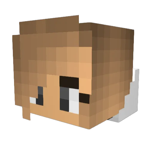 Mplayer1002 Minecraft avatar head, 3D render