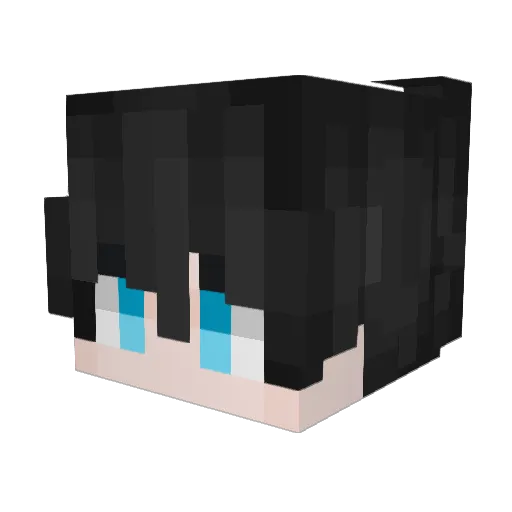 Mr0Bored Minecraft avatar head, 3D render