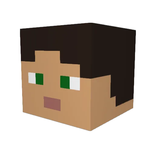 Mr2010ForgeBen Minecraft avatar head, 3D render
