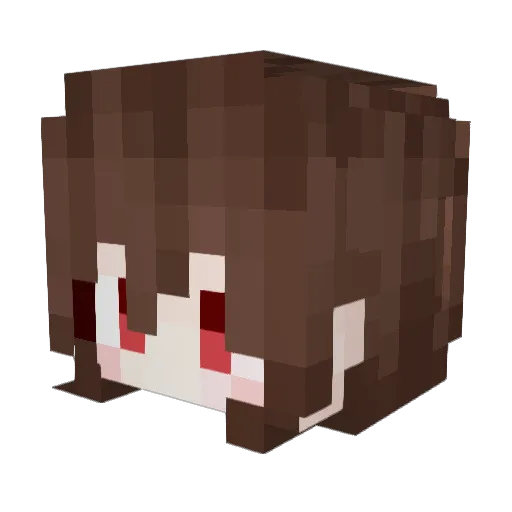 Mr578 Minecraft avatar head, 3D render