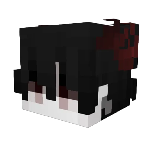 Mr959 Minecraft avatar head, 3D render