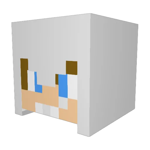 MrASsassin00 Minecraft avatar head, 3D render