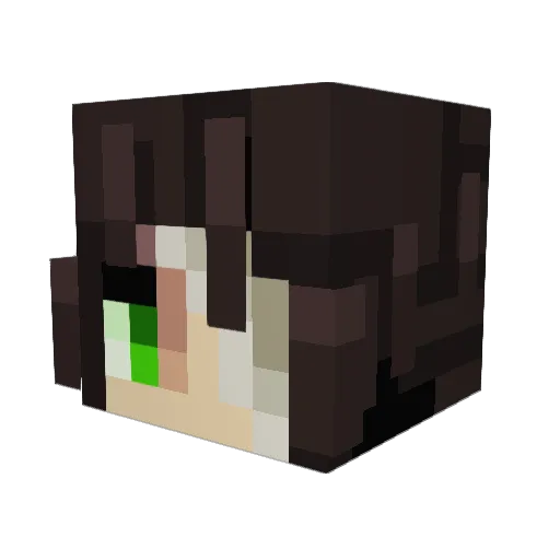 MrAcidCat Minecraft avatar head, 3D render