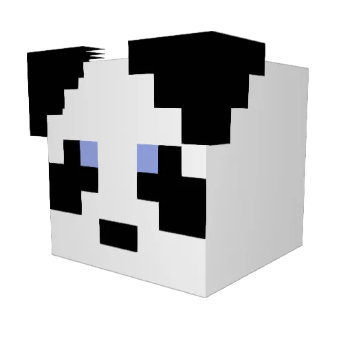 MrAdrielPlays Minecraft avatar head, 3D render