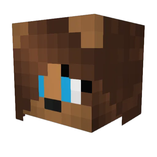 MrAidenWolf Minecraft avatar head, 3D render