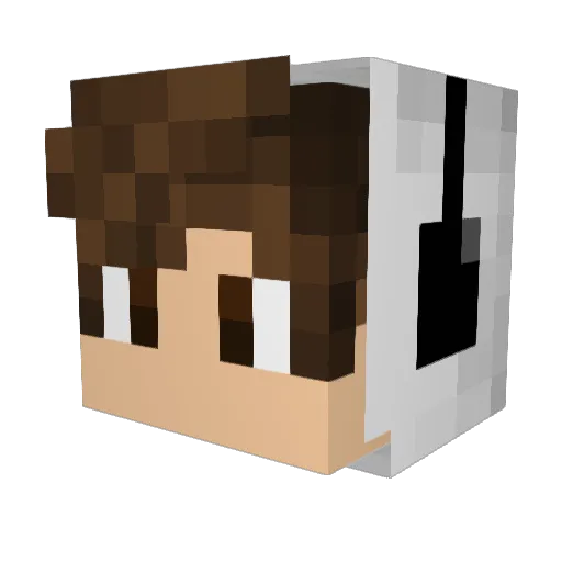 MrAniMen Minecraft avatar head, 3D render