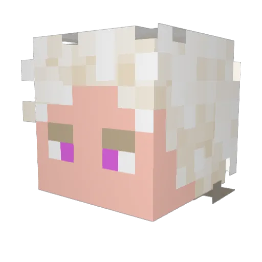 MrAnimeTiddys Minecraft avatar head, 3D render