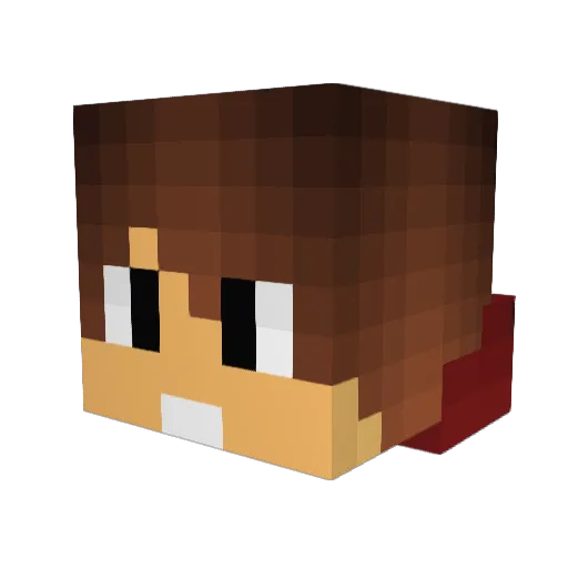 MrAssasin551 Minecraft avatar head, 3D render